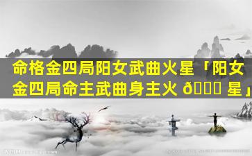 命格金四局阳女武曲火星「阳女金四局命主武曲身主火 🐘 星」